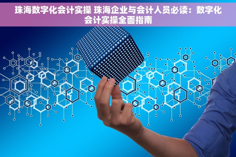 珠海数字化会计实操 珠海企业与会计人员必读：数字化会计实操全面指南