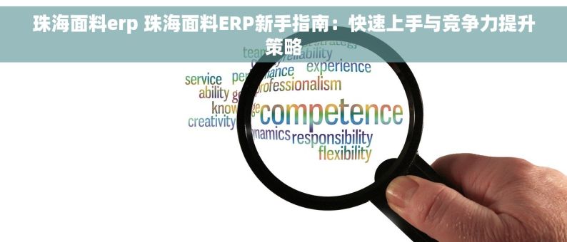珠海面料erp 珠海面料ERP新手指南：快速上手与竞争力提升策略