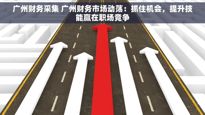 广州财务采集 广州财务市场动荡：抓住机会，提升技能赢在职场竞争