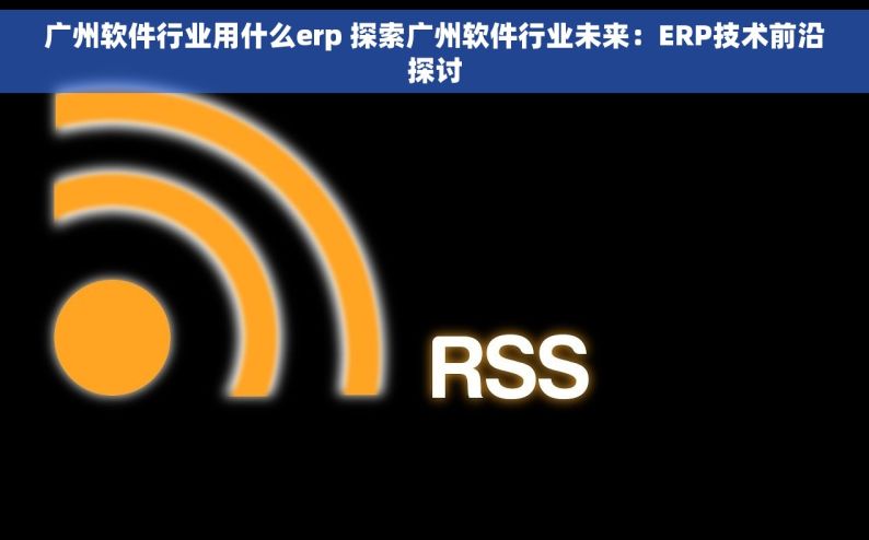 广州软件行业用什么erp 探索广州软件行业未来：ERP技术前沿探讨