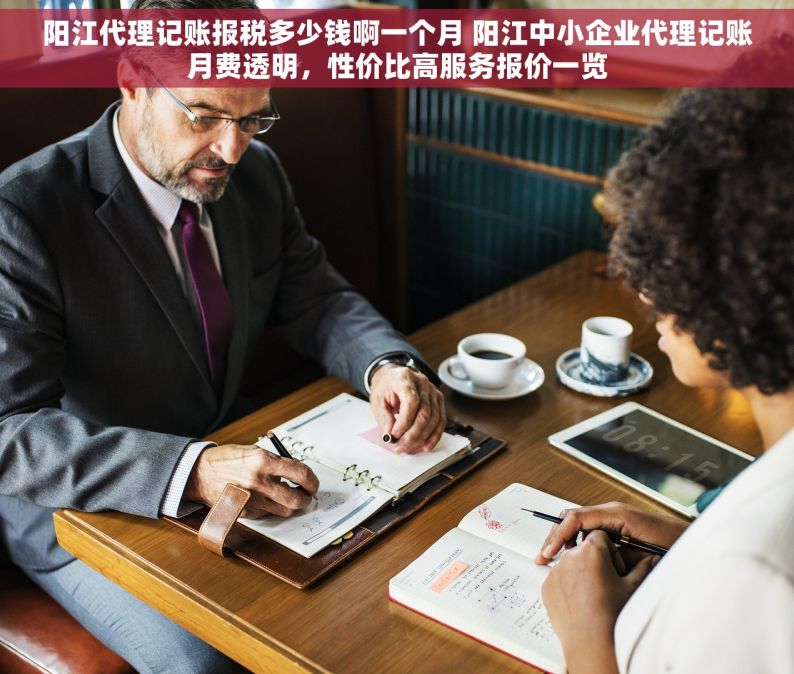 阳江代理记账报税多少钱啊一个月 阳江中小企业代理记账月费透明，性价比高服务报价一览