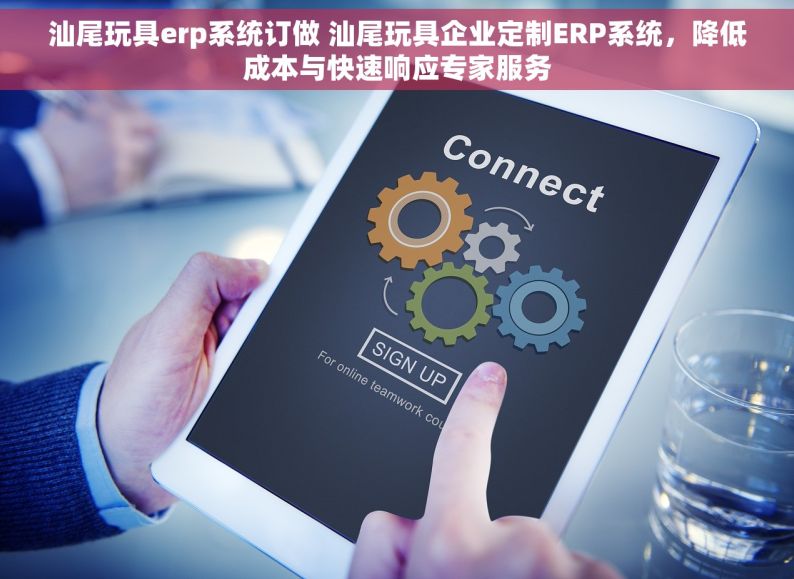 汕尾玩具erp系统订做 汕尾玩具企业定制ERP系统，降低成本与快速响应专家服务