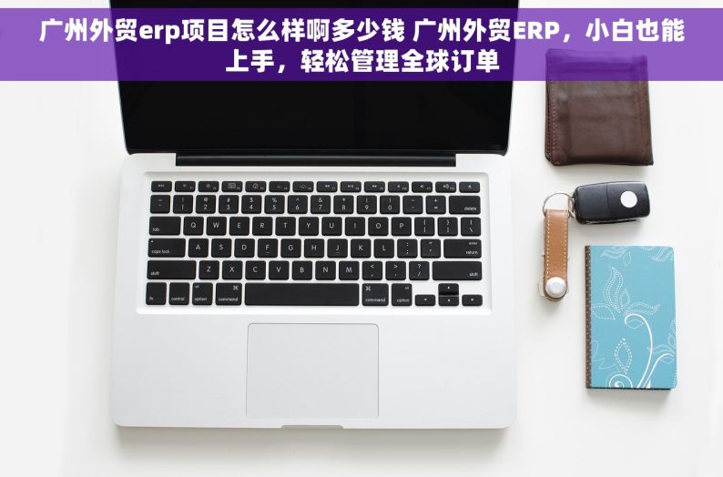 广州外贸erp项目怎么样啊多少钱 广州外贸ERP，小白也能上手，轻松管理全球订单