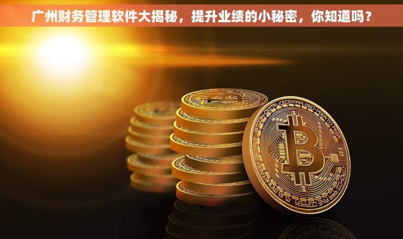 广州财务管理软件大揭秘，提升业绩的小秘密，你知道吗？