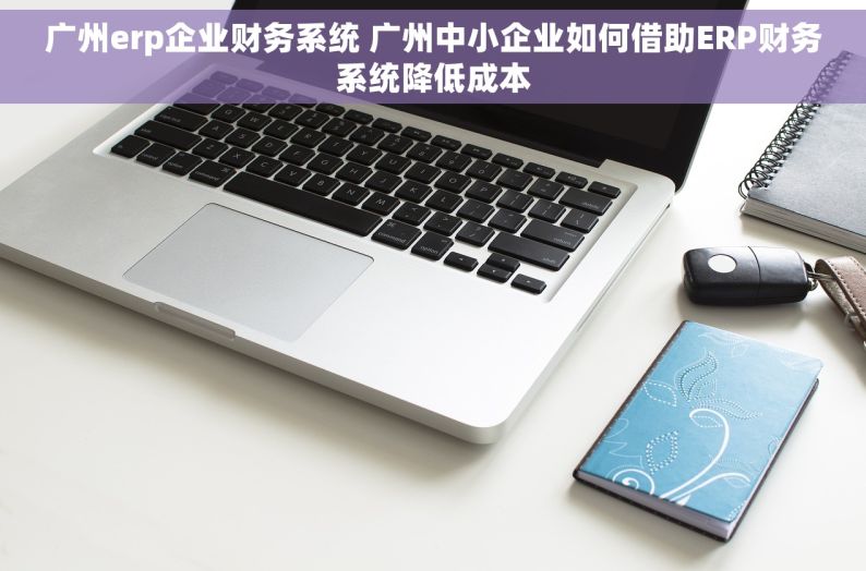 广州erp企业财务系统 广州中小企业如何借助ERP财务系统降低成本