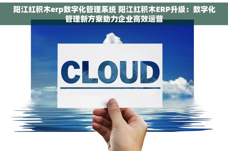 阳江红积木erp数字化管理系统 阳江红积木ERP升级：数字化管理新方案助力企业高效运营