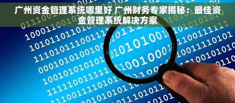广州资金管理系统哪里好 广州财务专家揭秘：最佳资金管理系统解决方案