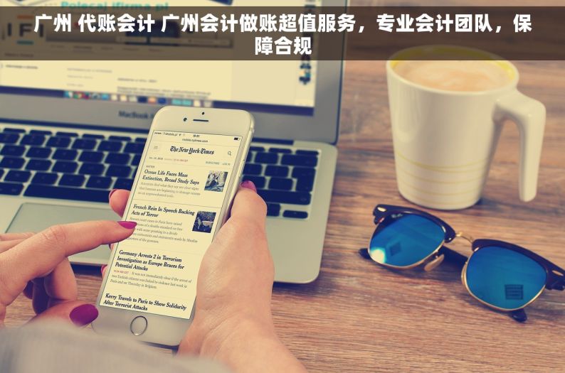 广州 代账会计 广州会计做账超值服务，专业会计团队，保障合规
