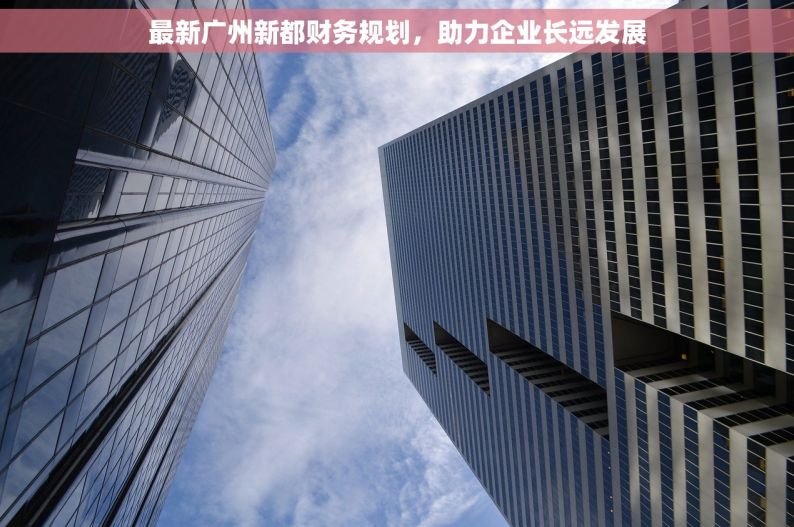 最新广州新都财务规划，助力企业长远发展