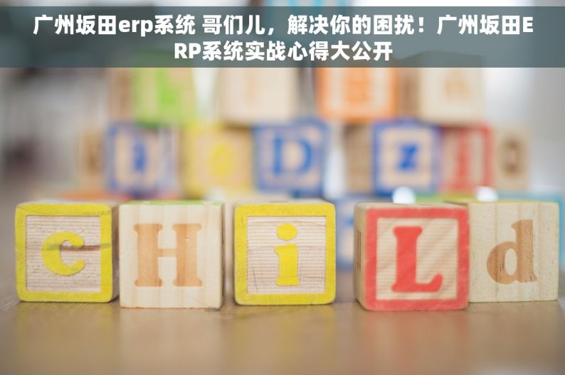 广州坂田erp系统 哥们儿，解决你的困扰！广州坂田ERP系统实战心得大公开