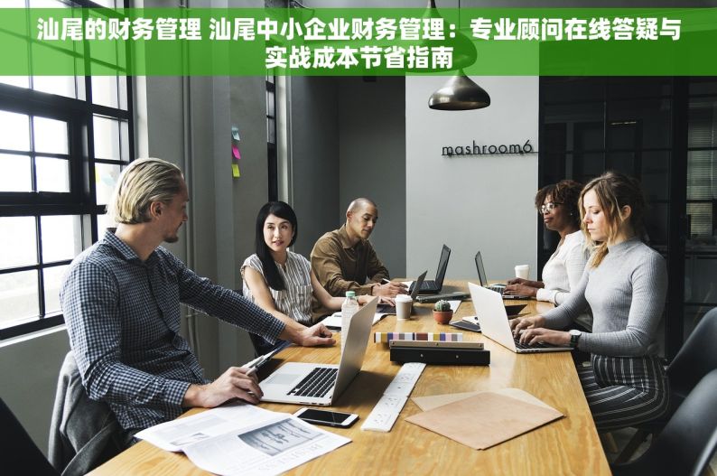 汕尾的财务管理 汕尾中小企业财务管理：专业顾问在线答疑与实战成本节省指南
