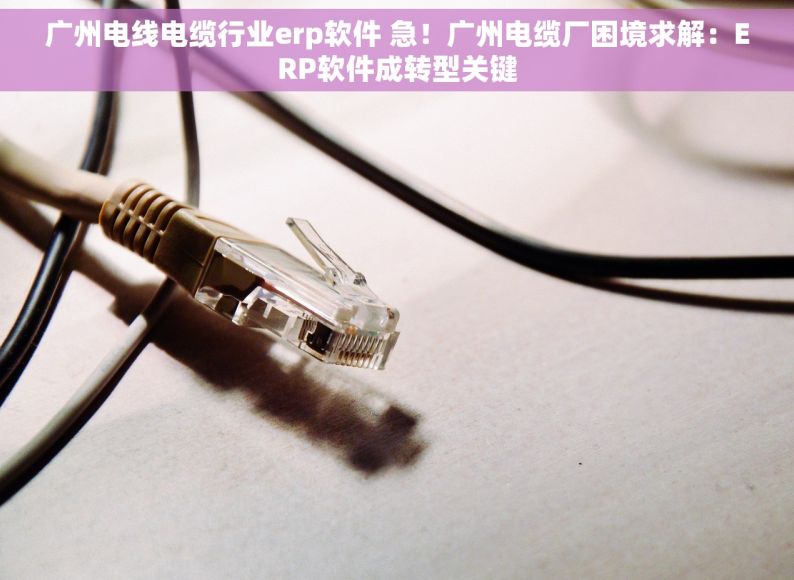 广州电线电缆行业erp软件 急！广州电缆厂困境求解：ERP软件成转型关键