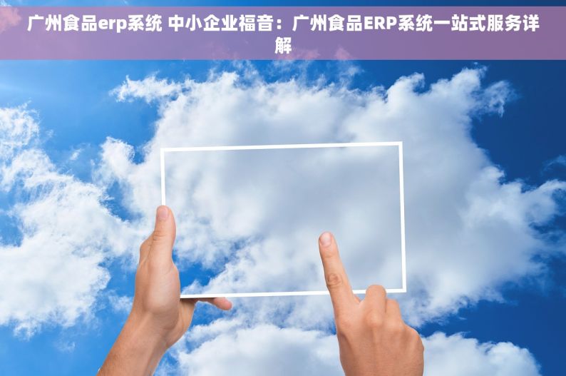 广州食品erp系统 中小企业福音：广州食品ERP系统一站式服务详解