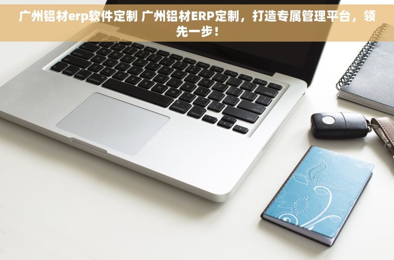 广州铝材erp软件定制 广州铝材ERP定制，打造专属管理平台，领先一步！