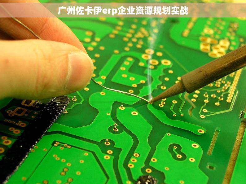 广州佐卡伊erp企业资源规划实战