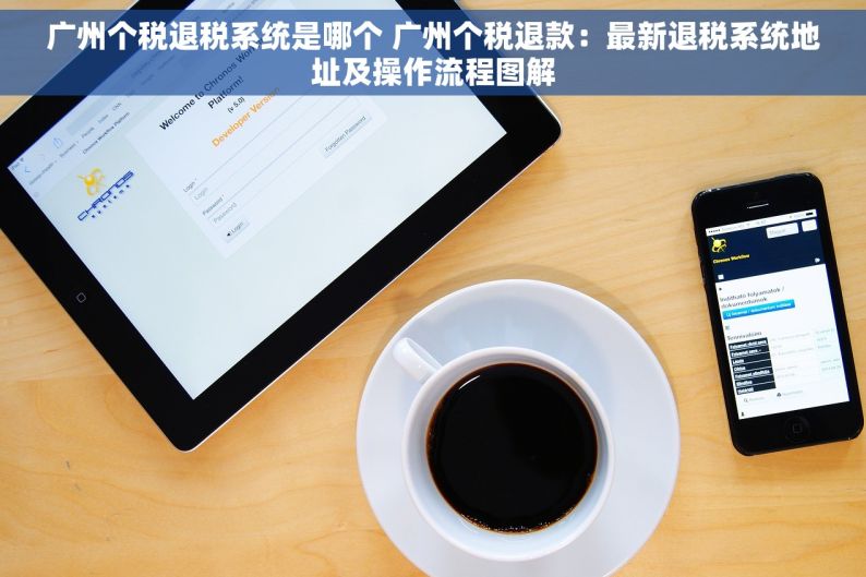 广州个税退税系统是哪个 广州个税退款：最新退税系统地址及操作流程图解
