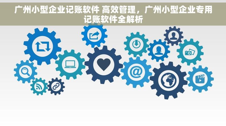 广州小型企业记账软件 高效管理，广州小型企业专用记账软件全解析