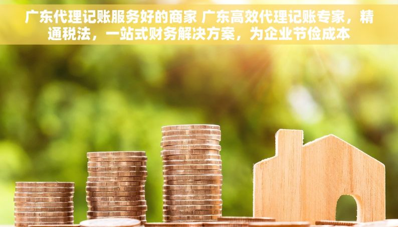 广东代理记账服务好的商家 广东高效代理记账专家，精通税法，一站式财务解决方案，为企业节俭成本