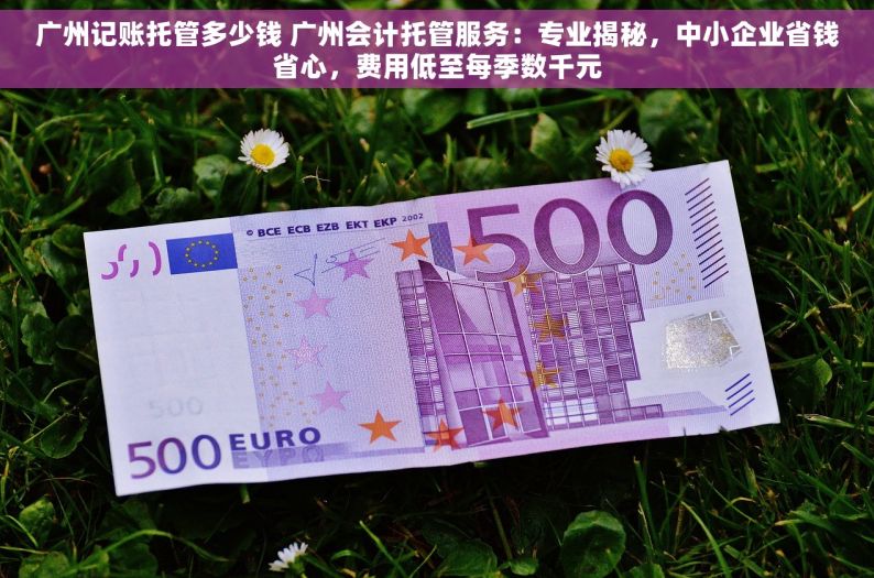广州记账托管多少钱 广州会计托管服务：专业揭秘，中小企业省钱省心，费用低至每季数千元